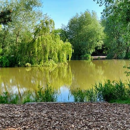 Carp Lake