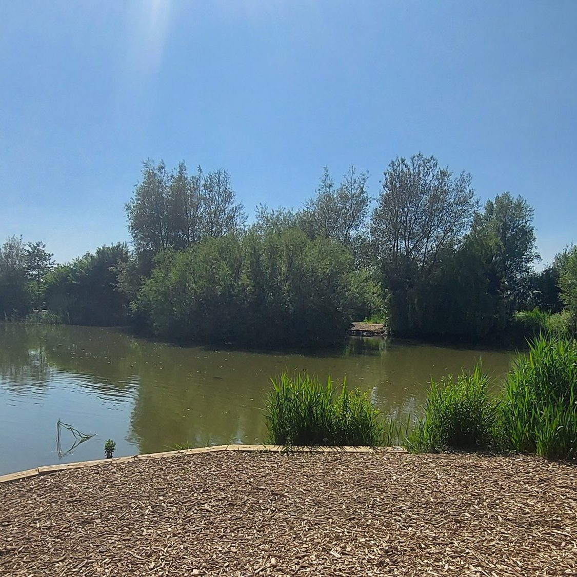 carp lake 1