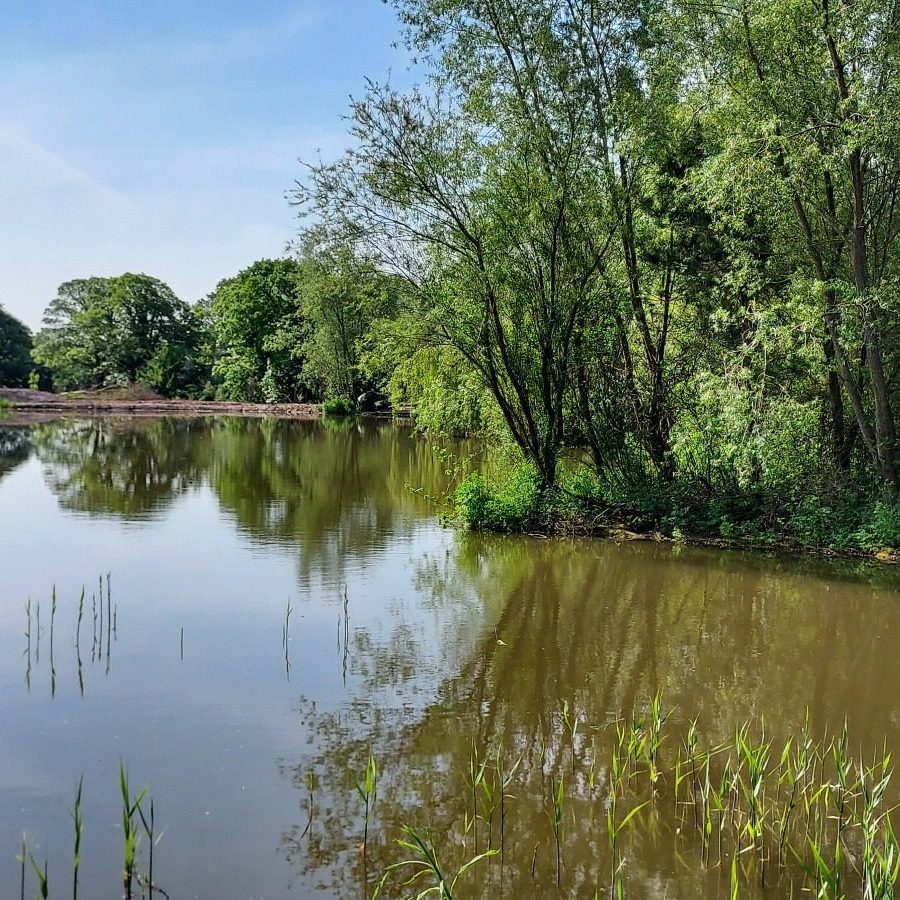 carp lake
