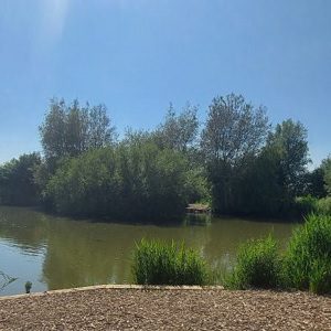 Pheasants Wood Carp Lake 1