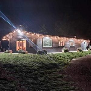 Clubhouse pheasants wood fishery